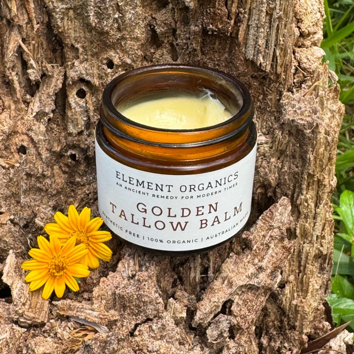 Jar of Golden Tallow Balm from Element Organics on a wooden surface with a yellow flower.